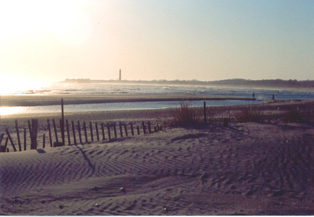 beachfence